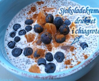 Beste raw frokosten sjokolade elskere kan få!