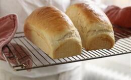 Brød, rundstykker og annen baking