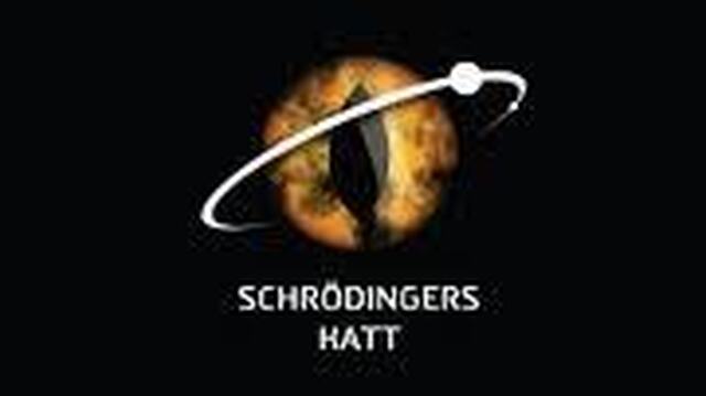Interessant fra Schrödingers katt - igjen!