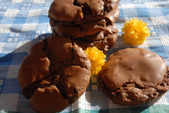 Seige sjokoladecookies