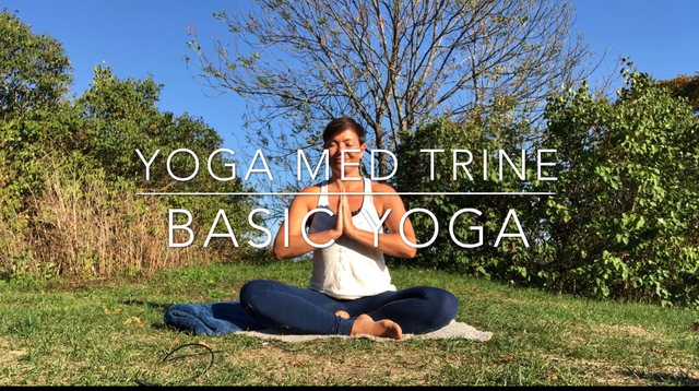 Her får du et basic yogaprogram med meg!