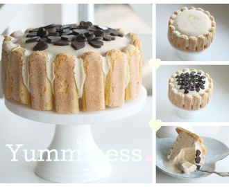 COFFEE ICE CREAM CAKE