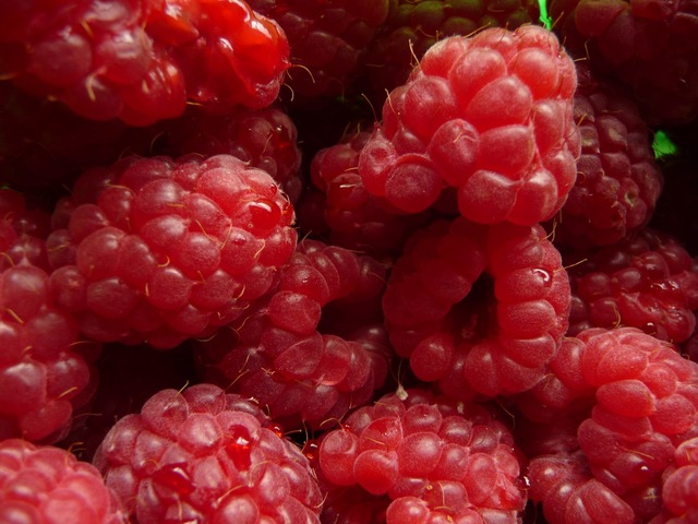 Dessert av de deiligste, søte, røde bringebær