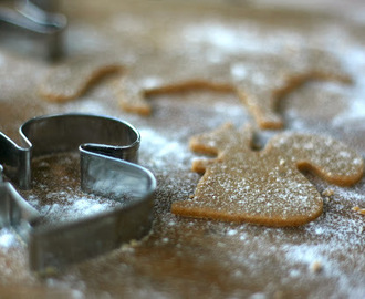 Glutenfrie pepperkaker med kokos og appelsintivist!