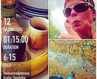 #1milvartredjetimme -nesten 90 km,-tro det eller ei!