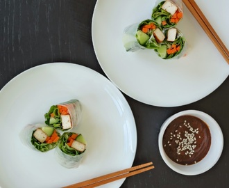 Ferske vietnamesiske vårruller med soyamarinerte tofu