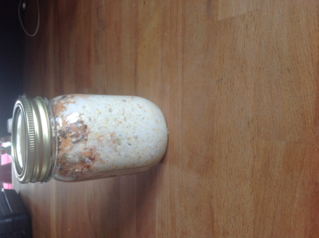 Overnight oats gulrotkake