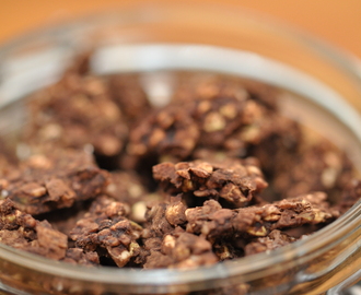 Raw sjokoladegranola