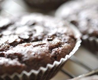 Amerikanske sjokolademuffins