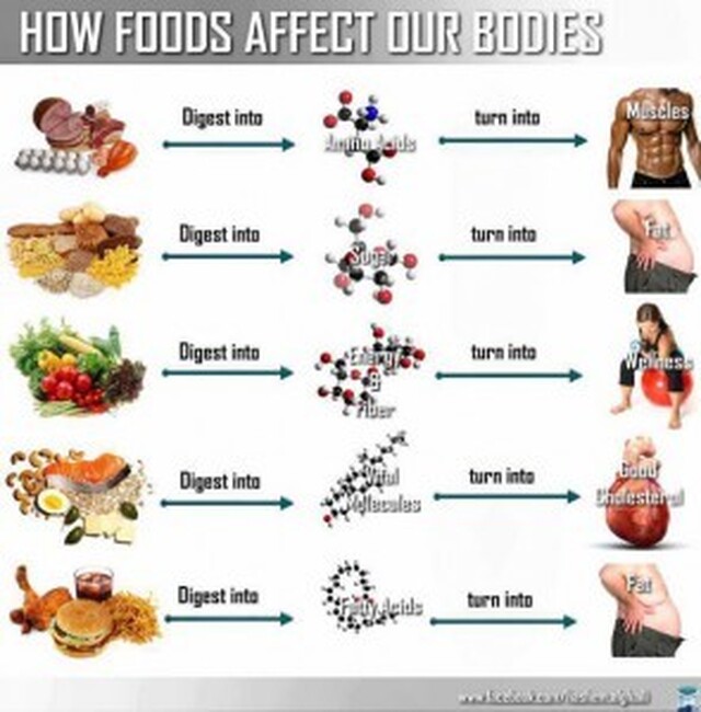 Hvordan mat påvirker kroppen vår