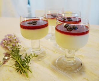 Dessert tips til helgen: lavkarbo panna cotta