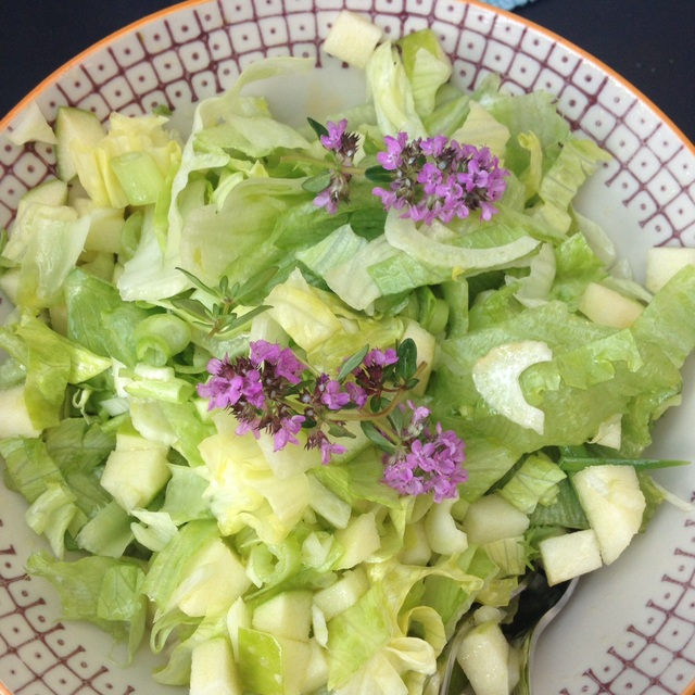 Salat med fennikel og eple, perfekt følge til grillet fisk