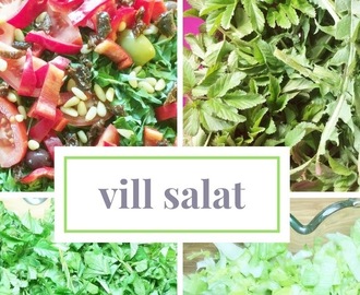 Vill salat med løvetann og skvallerkål