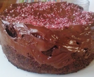 Sjokoladekake m/Chillikrydder