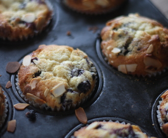 Blueberry white chocolate muffins