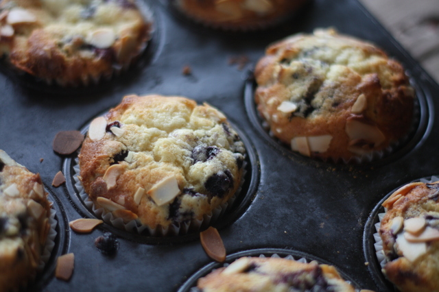 Blueberry white chocolate muffins