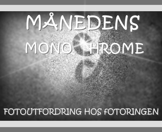 Månedens monocrome