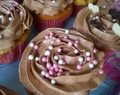 Magnolia Vanilla and Chocolate Cupcakes