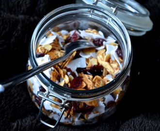 hjemmelaget granola med tørkede tranebær