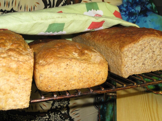 Safia og Bente` s hjemmebakte brød