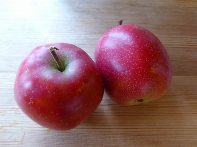 Fruenes eplekake