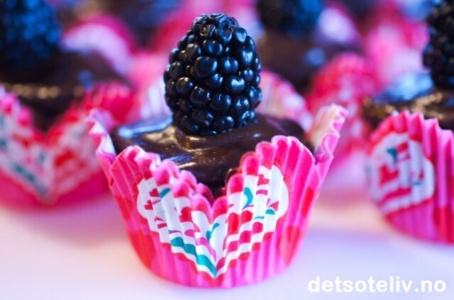 Mini Chocolate Blackberry Cupcakes