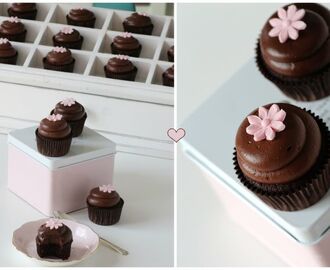 Chocolate cupcakes & luscious chocolate cream cheese frosting