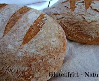 Glutenfritt italiensk landbrød med havre