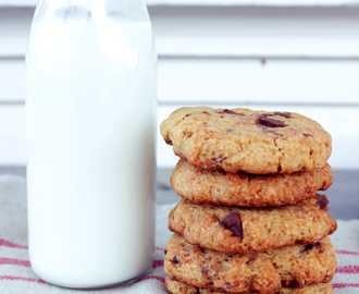 sukkerfri sjokolade cookies