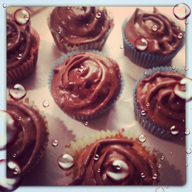 Bounty Cupcakes with creamy chocolate frosting