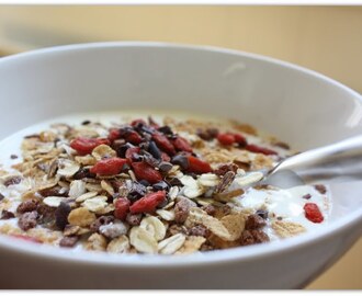 Müsli, tunfisk og proteinlapper..