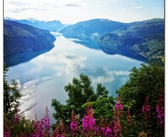 Reker & Jordbær på Nos i Stryn ♥ ♫♪