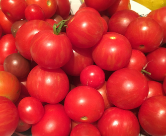 För många tomater? Frys eller torka i ugn