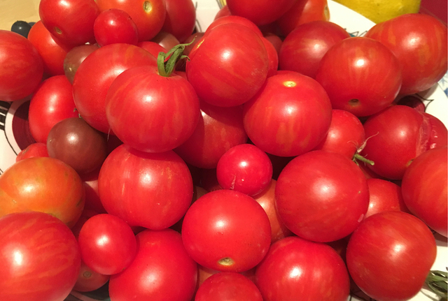 För många tomater? Frys eller torka i ugn