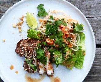 Asiatisk nudelsallad med 5-spice kyckling 