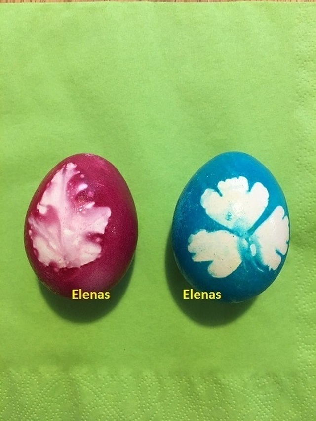 Färga ägg, med blad/Ouă vopsite, cu frunză