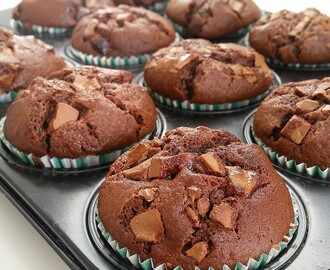 Amerikanska chokladmuffins med chokladbitar