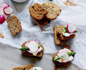 Rye Chili Crostini w Feta Cheese Spread, Grilled Aspargus & Radish