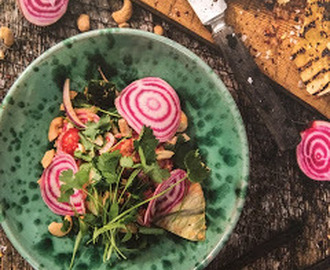 Vietnamesisk sallad med grillad fläskkarré och cashewnötsdressing