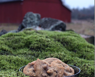 Sega pepparkakor med torkade tranbär och valnötter