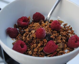 Hemmagjord müsli för oss frukost älskare