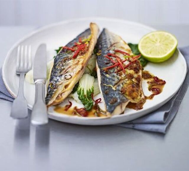 Grilled mackerel with sweet soy glaze | Recipe | Mackerel recipes, Soy glaze recipe, Bbc good food recipes