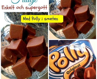 Pollyfudge