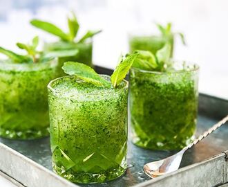 Frozen Mojito