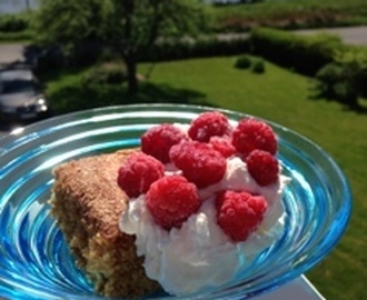 Snickerdoodle blondie med grädde och hallon