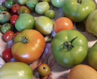 Mindfulness och gröna tomater