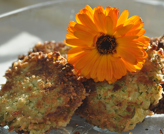 Zucchinibiffar med halloumi