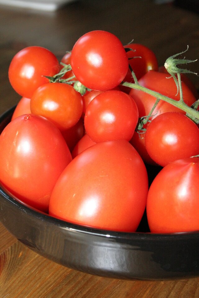 Soppa på färska tomater