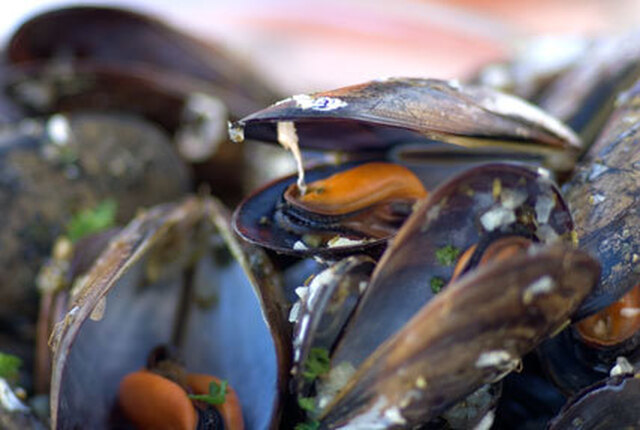 Moules marinières, vinkokta musslor på franskt vis