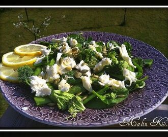 GRÖN SALLAD MED MOZZARELLA OCH CITRONDRESSING